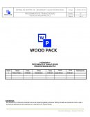 PROCEDIMIENTO DE TRABAJO SEGURO OPERACIÓN MAQUINA MULTIPLE
