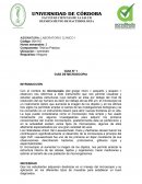 GUÍA DE MICROSCOPIA
