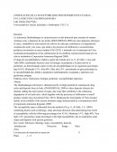 ZONIFICACIÓN DE LA SUSCEPTIBILIDAD POR MOVIMIENTOS EN MASA EN LA SUBCUENCA QUEBRADANEGRA