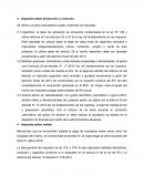 Impuesto sobre producción y consumo