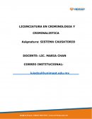 SISTEMA CAUSATORIO