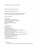 LABORATORIO DE MECÁNICA DE SÓLIDOS DEFORABLES I