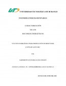 RECURSOS ENERGÉTICOS “CULTIVO ENERGÉTICO PARA PRODUCCIÓN DE BIOETANOL (CAÑA DE AZUCAR)”
