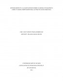 SINTESIS RESPECTO A LAS REFLEXIONES SOBRE EL MODELO PEDAGÓGICO COMO UN MARCO ORIENTADOR PARA LAS PRÁCTICAS DE ENSEÑANZA