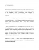 ¿Qué tipos de delitos se dan a consecuencia del maltrato animal?
