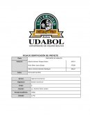 ORGANIZACIÓN DE LA FUERZA DE VENTAS