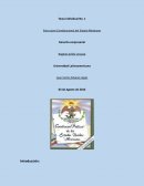 Estructura Constitucional del Estado Mexicano
