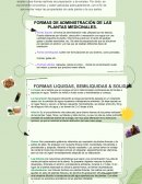 FORMAS DE ADMINISTRACIÓN DE LAS PLANTAS MEDICINALES