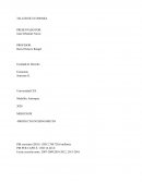 Trabajo economia MERCOSUR