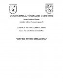 Control Interno Operacional