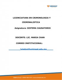 SISTEMA CAUSATORIO. Página 1
