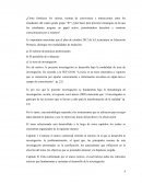 El informe de prácticas profesionales