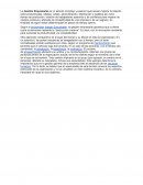 La Gestión Empresarial