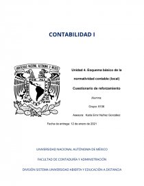 Esquema básico de la normatividad contable (local). Página 1