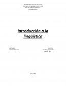 Introducción a la lingüística