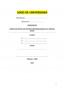 COMFLICTOS ENTRE LOS SISTEMAS ORGANIZACIONALES DEL HOSPITAL BELÉN