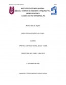 Trenes de alta velocidad en Japón: Innovación, tecnología y el futuro del transporte