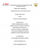 INFORME SOBRE LA VIOLENCIA INTRAFAMILIAR