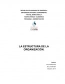 LA ESTRUCTURA DE LA ORGANIZACIÓN
