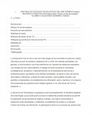 ENSAYO SOBRE EL ABUSO DE LAS TECNOLOGIAS EN LA JOVENTUD