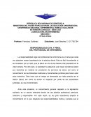 RESPONSABILIDAD CIVIL Y PENAL DEL PROFESIONAL DE ENFERMERIA