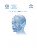 LESIONES NERVIOSAS