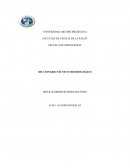 Términos fisioterapéuticos