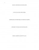 MÉTODOS Y TÉCNICAS DE INVESTIGACIÓN