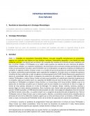 ESTRATEGIA METODOLÓGICA. Caso Aplicado