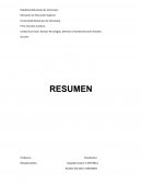 IMPACTO E INCIDENCIAS DE LAS TIC