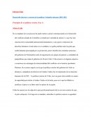 Desarrollo interno y externo de la politica Colombia durante 2002-2021