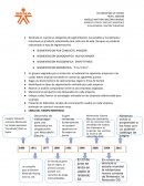 TALLER SEGMENTACION DE MERCADO