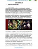 IMPORTANCIA DE LA BIODIVERSIDAD