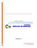 Informe bioseguridad