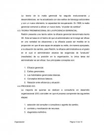 Control. Descripción del Proyecto e Incorporación del Tema Generador y Líneas de Investigación. Página 13