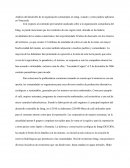 DESARROLLO DE LA ORGANIZACIÓN COMUNITARIA DE INTAG- ECUADOR