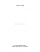 Portafolio de Evidencias