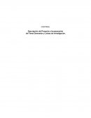 Control. Descripción del Proyecto e Incorporación del Tema Generador y Líneas de Investigación
