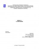 La importancia de la ergonomía