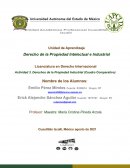 Actividad 3. Derechos de la Propiedad Industrial
