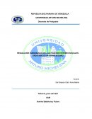 Regulación humanizada de las redes sociales