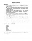 Desafío 1: Caso Lucía