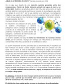 DIOXIDO DE CLORO PREPARACION