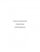 PLAN DE NEGOCIOS FERRETERIA COSTRUMAULE