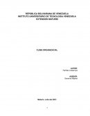 EXTENSIÓN MATURÍN CLIMA ORGANIZACIAL