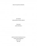 Manual de seguridad de laboratorio