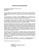 INFORME DEL AUDITOR INDEPENDINTE