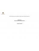 Taller de Habilidades Socioemocionales (THSE)