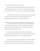 Nivel celular de organización tipos de células y componentes