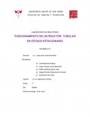 FUNCIONAMIENTO DE UN REACTOR TUBULAR EN ESTADO ESTACIONARIO